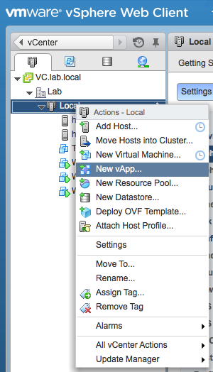 Using VMware vApp