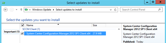 expand WSUS updates: install updates