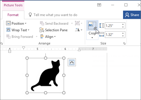Photo cropping in Word (via Microsoft)
