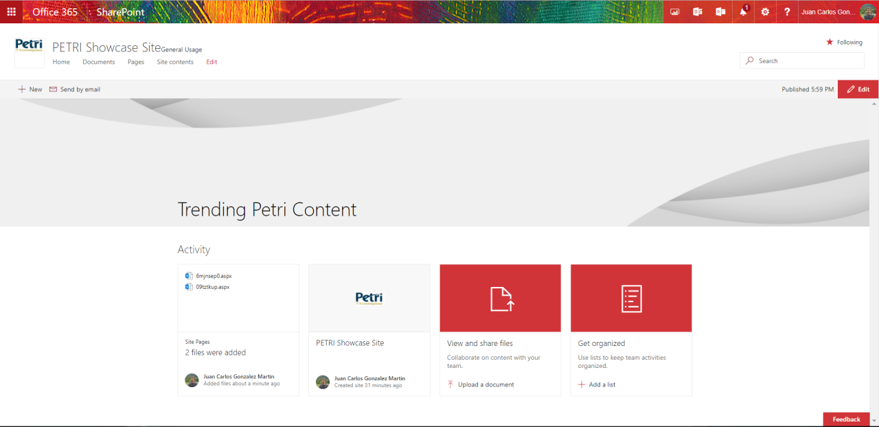 New Site Theming Options SPO 4