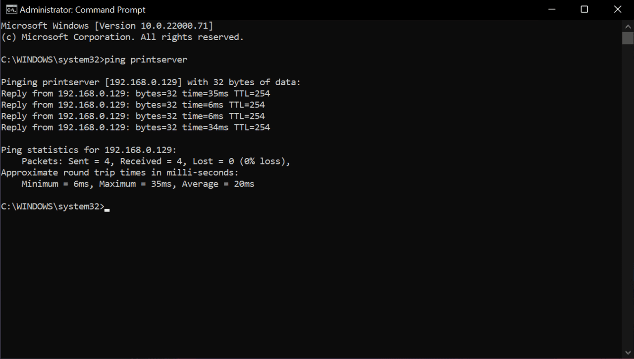 Ping a network device