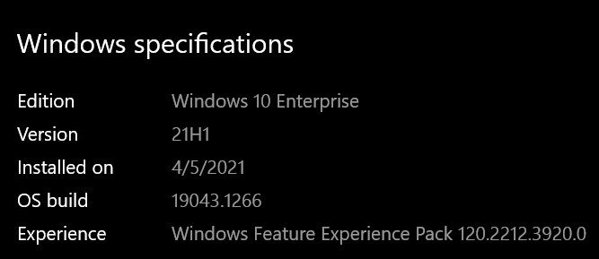 Windows 10 21H1 - Starting Line
