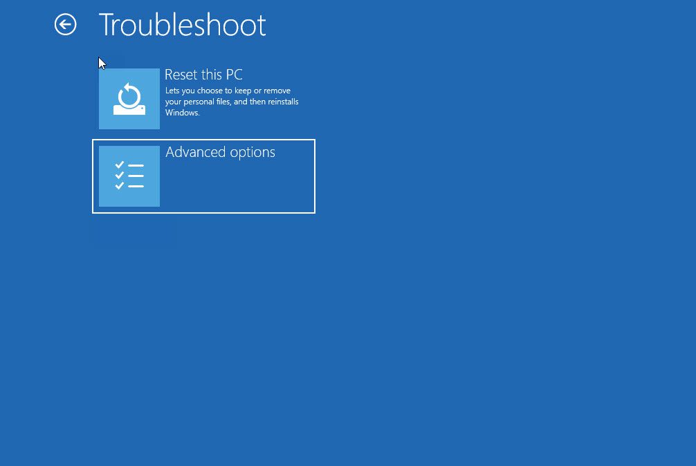 We select Advanced options on the Troubleshoot screen