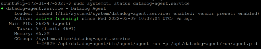 start the Datadog agent