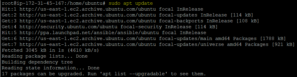 Run the apt update command to update all your existing packages