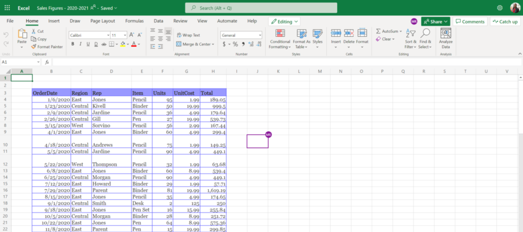 Lynne viewing the Excel file. Note the purple highlighted box with 'my' initials
