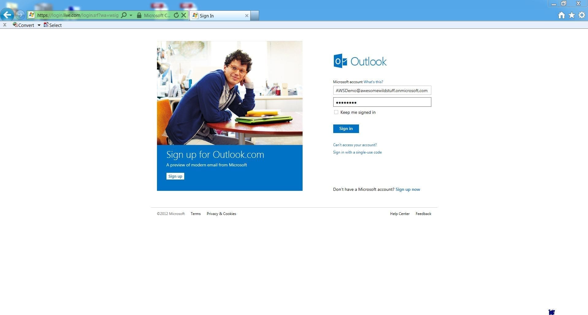 Fig 1 - Outlook Web Access Sign-In Screen