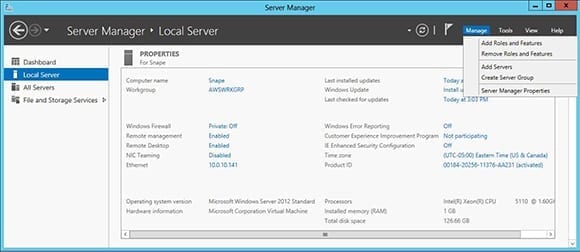 Fig 1 Server Manager