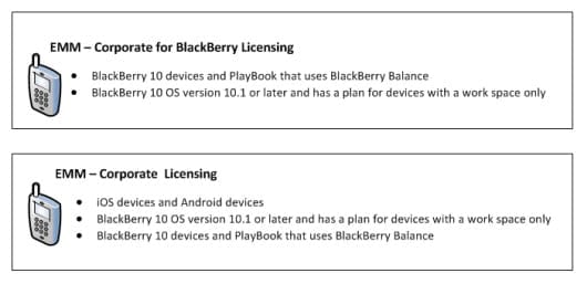 Blackberry Enterprise Service 10.1 (BES) 