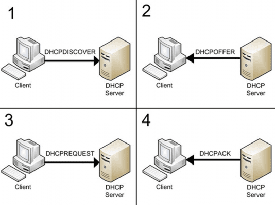 about dhcp 1