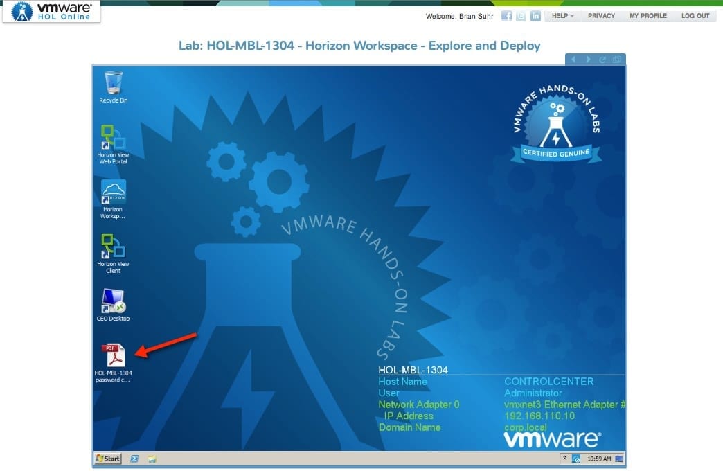 VMware Hands-on Labs Online console
