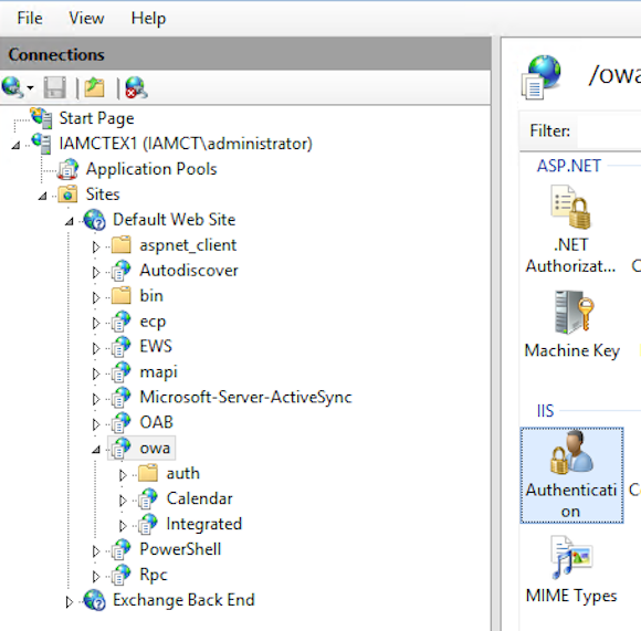 Basic Authentication settings in the IIS Admin Console