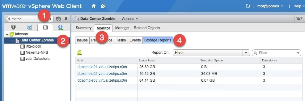 vmware vsphere web client storage report