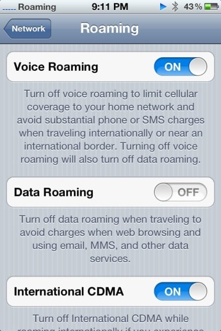 Figure 2: iOS Data Roaming option